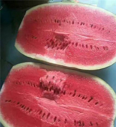 新疆西瓜，新疆西瓜 