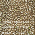广西葛根种苗&18278032992小周3 