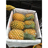 菠萝代办