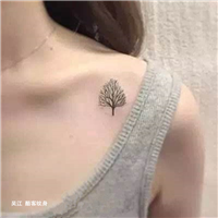 小树 
