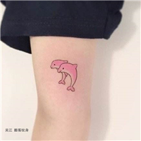 小海豚 