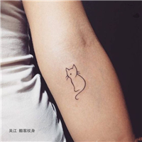 猫 