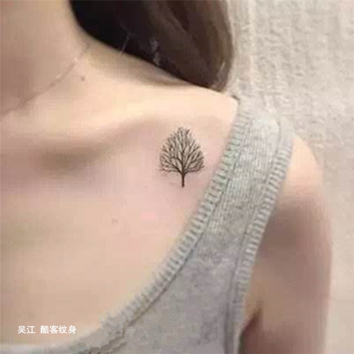 小树 