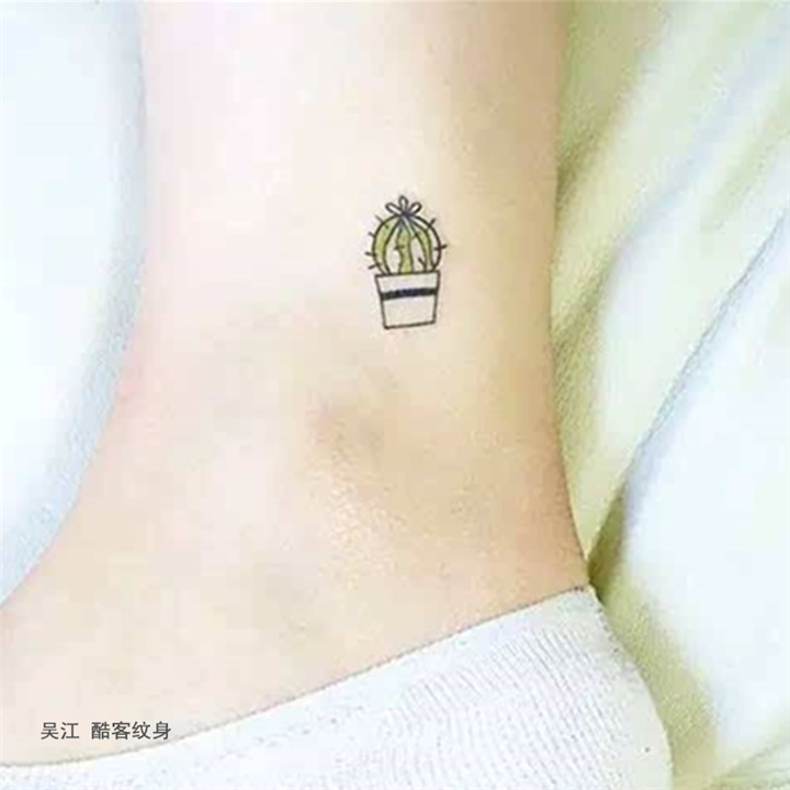 仙人球 