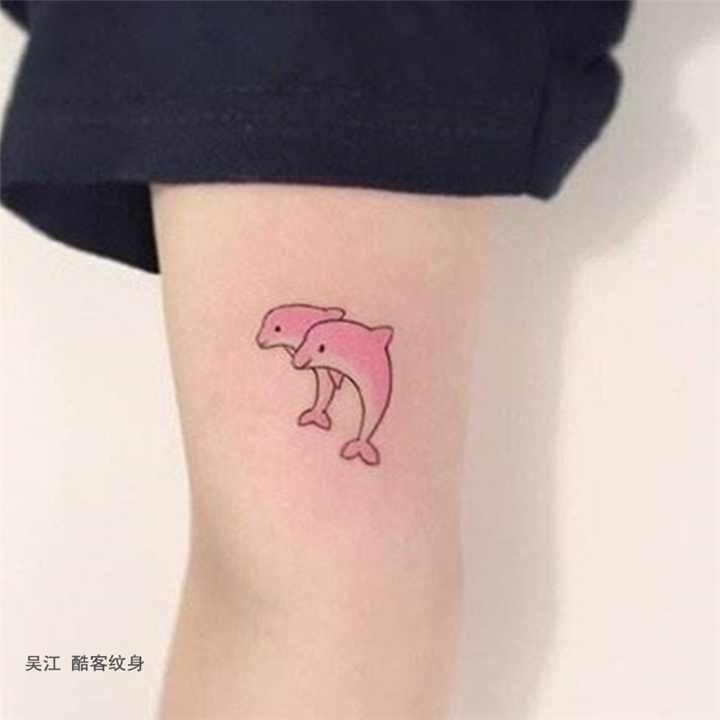 小海豚 