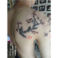 吴江酷客纹身 