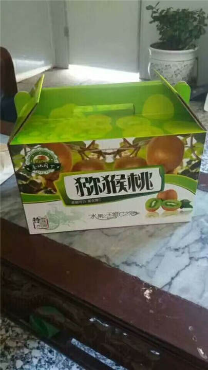 西安纸箱
