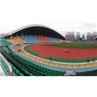 新疆阿拉尔塑胶跑道材料|新疆和田混合型塑胶跑道 