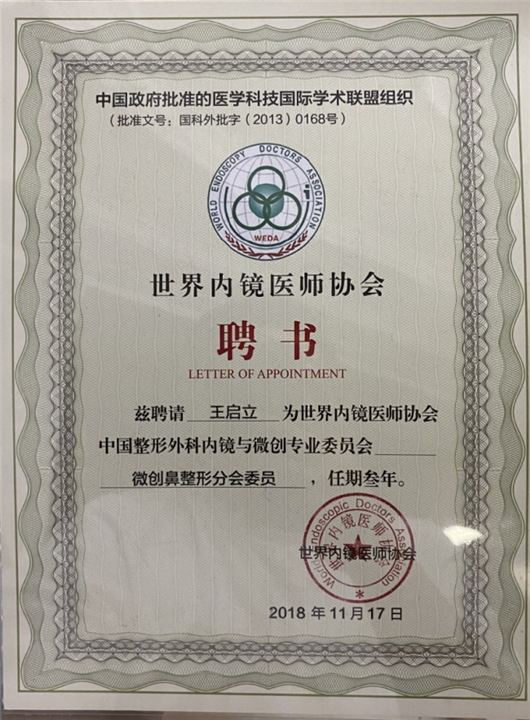 世界内镜医师协会鼻整形委員