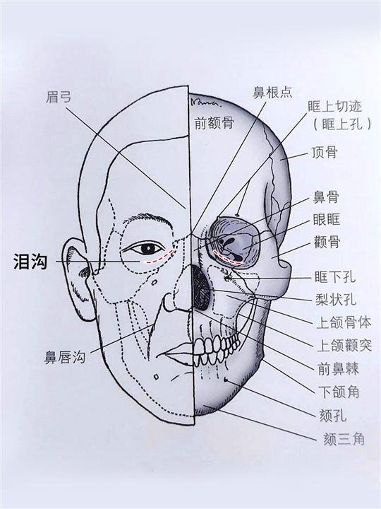 不管是老中还是老韩，都逃不掉拥有泪沟的命运