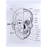 不管是老中还是老韩，都逃不掉拥有泪沟的命运