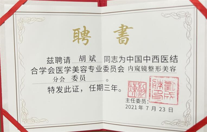 中国中西医结合学会医学美容专业**