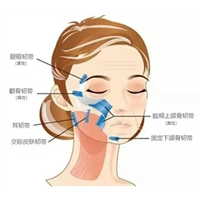 印第安纹怎样才能有效的淡化？揭秘真正管用的方法