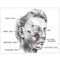 印第安纹怎么才能永  久去除？解决的方式都有哪些？