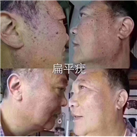 东方琢雅