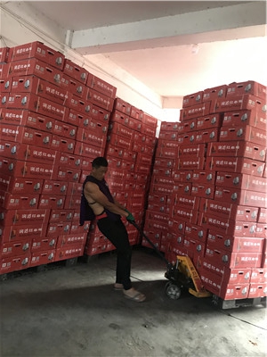 福建柚子代办_柚子哪里产地 