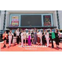 韩秀双美