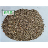 锡林浩特树籽批发