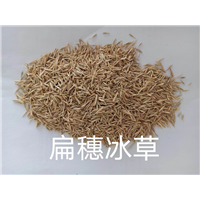 锡林浩特苗木批发基地