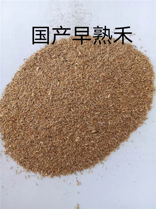 锡林浩特苗木批发基地
