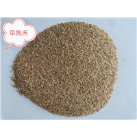 锡林浩特草籽批发