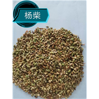 锡林浩特草籽批发市场