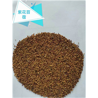 锡林浩特树籽批发