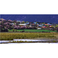 林芝旅游美景