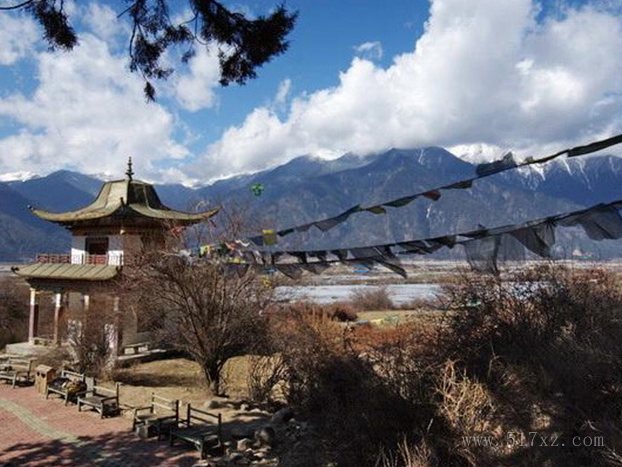 柏树王|林芝旅游租车电话 