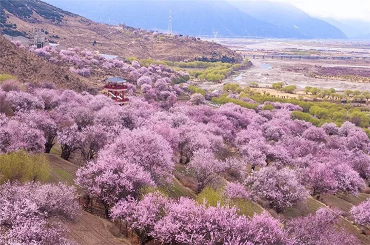 林芝波密三日游