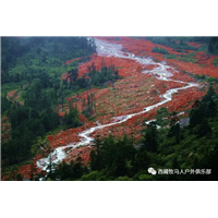 成都川藏线旅游包车旅行 