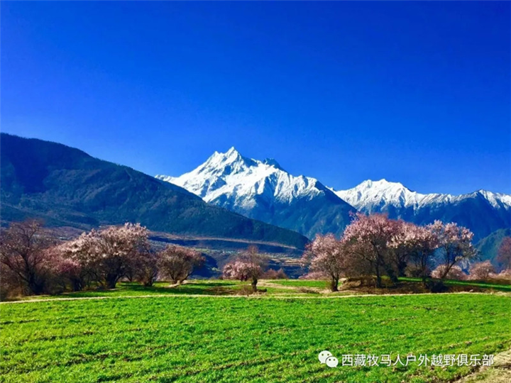 拉萨包车到墨脱旅游