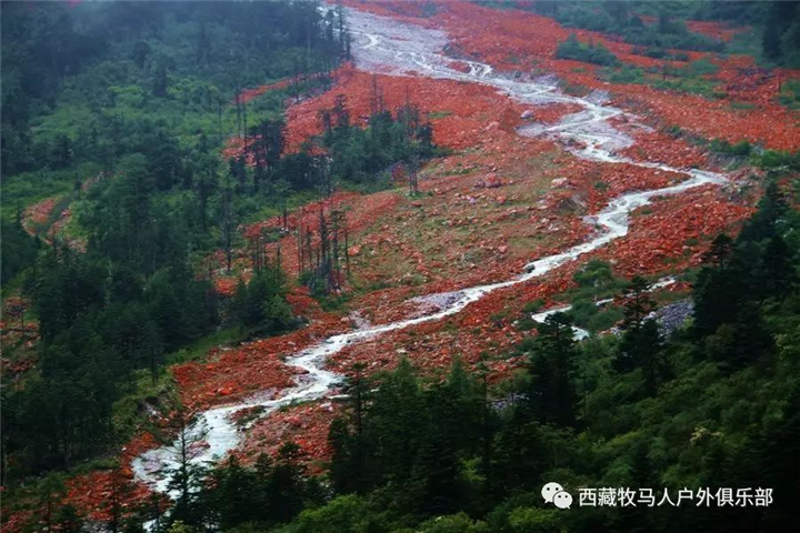 成都川藏线旅游包车旅行 