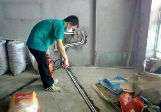 汕头白蚁预防：新建房屋也要防白蚁 
