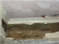 汕头白蚁防治：白蚁的危害 