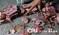 汕头白蚁防治：发现白蚁 通知专业人员进行处理 