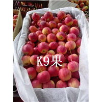 吉林K9苹果