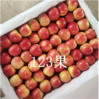吉林123果价格 