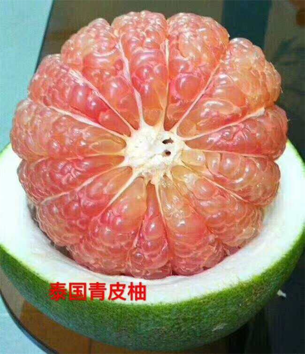 泰国青皮柚