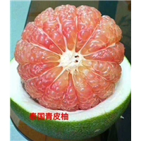 泰国青皮柚