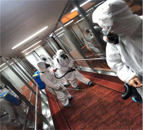 惠州除虫公司电话
