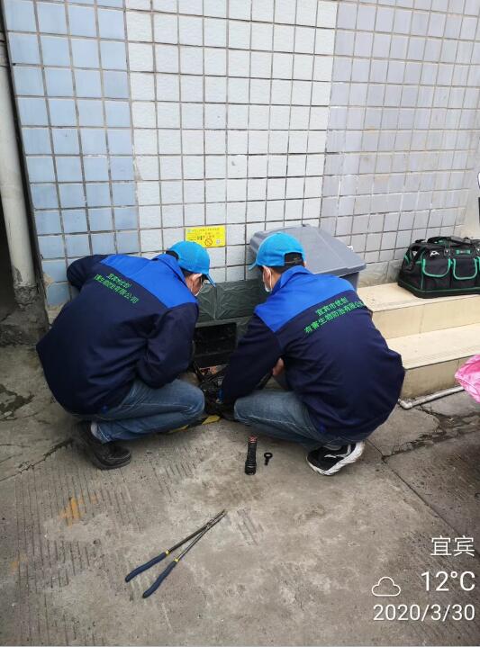 宜宾灭鼠 