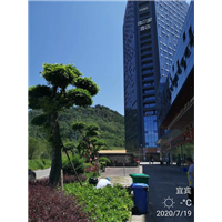 宜宾灭白蚁维尔家酒店