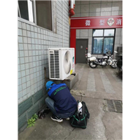 宜宾杀虫 