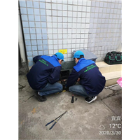 宜宾灭鼠 