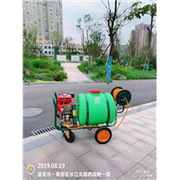 宜宾白蚁防治 