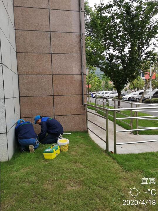 宜宾市灭鼠 