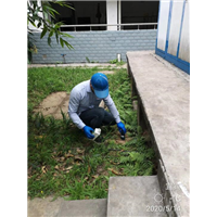 宜宾杀虫灭鼠 