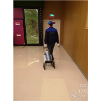 宜宾市白蚁防治 