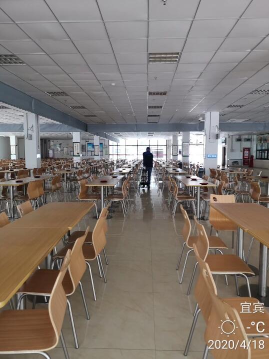 宜宾市灭飞虫 
